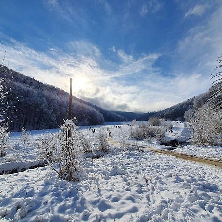 Forest Therapy Suite - Sub Padure Grand Comfort Брашов Экстерьер фото
