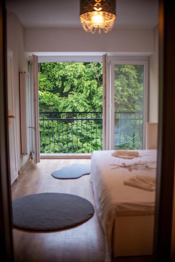 Forest Therapy Suite - Sub Padure Grand Comfort Брашов Экстерьер фото