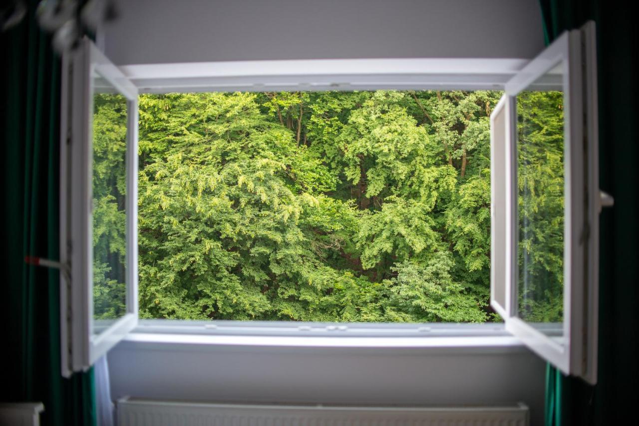 Forest Therapy Suite - Sub Padure Grand Comfort Брашов Экстерьер фото